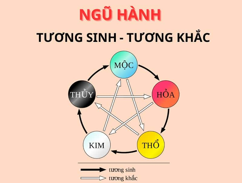 Cây lưỡi hổ trong phong thủy