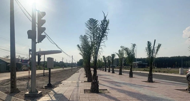 Hạ tầng dự án new land bàu bàng