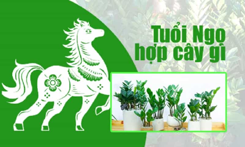 Tuổi ngọ 1990